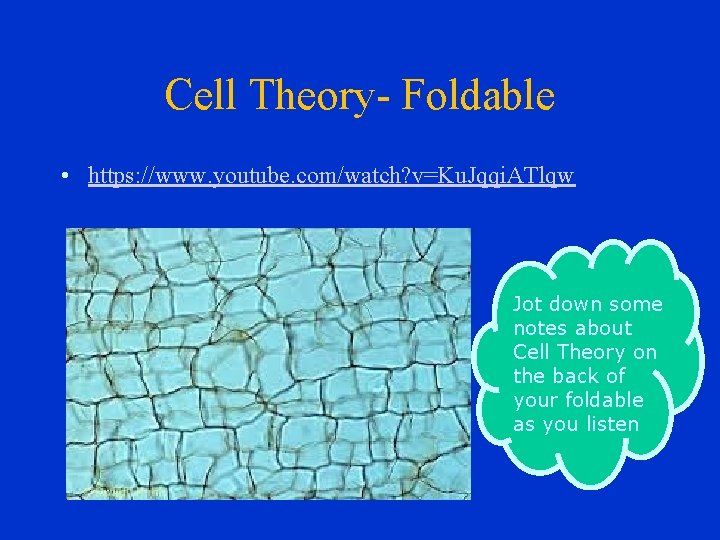 Cell Theory- Foldable • https: //www. youtube. com/watch? v=Ku. Jqqi. ATlqw Jot down some