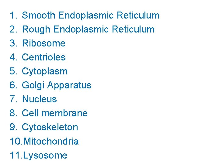 1. Smooth Endoplasmic Reticulum 2. Rough Endoplasmic Reticulum 3. Ribosome 4. Centrioles 5. Cytoplasm