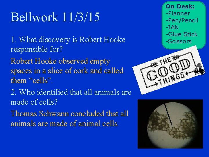 Bellwork 11/3/15 1. What discovery is Robert Hooke responsible for? Robert Hooke observed empty