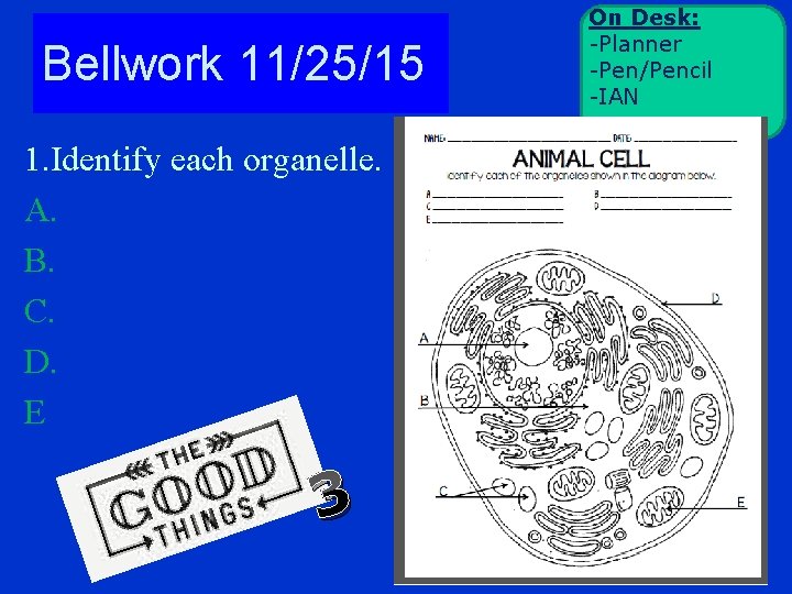 Bellwork 11/25/15 1. Identify each organelle. A. B. C. D. E 3 On Desk: