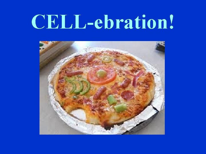 CELL-ebration! 