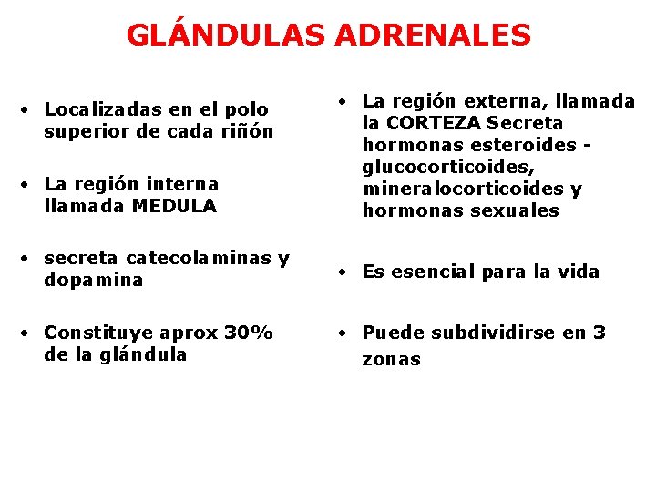 GLÁNDULAS ADRENALES • La región interna llamada MEDULA • La región externa, llamada la