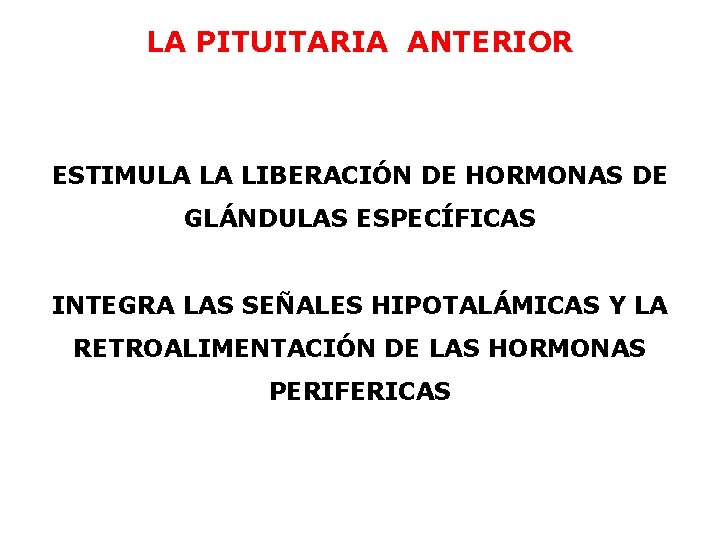 LA PITUITARIA ANTERIOR ESTIMULA LA LIBERACIÓN DE HORMONAS DE GLÁNDULAS ESPECÍFICAS INTEGRA LAS SEÑALES