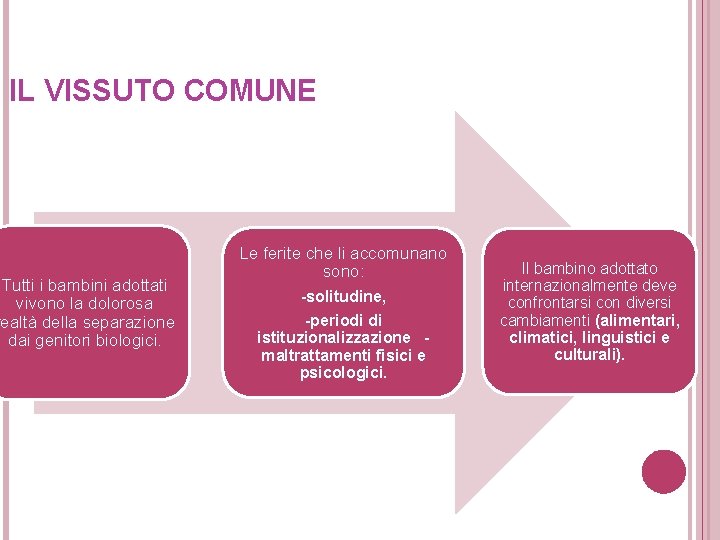 IL VISSUTO COMUNE Tutti i bambini adottati vivono la dolorosa realtà della separazione dai