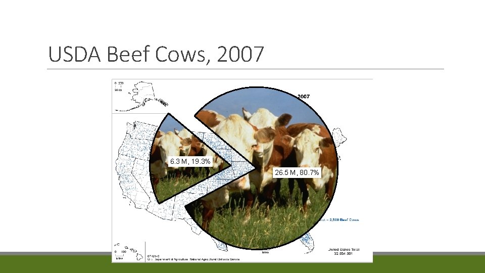USDA Beef Cows, 2007 6. 3 M, 19. 3% 26. 5 M, 80. 7%