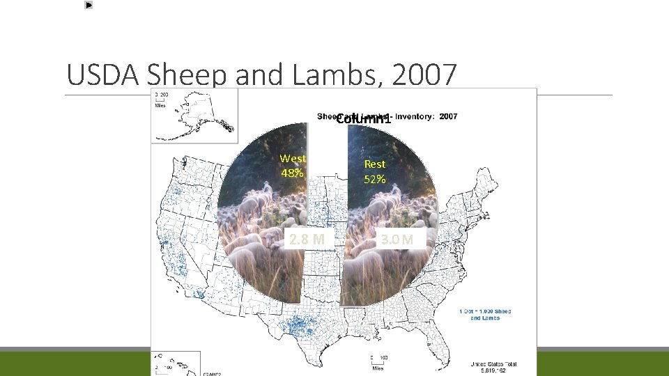 USDA Sheep and Lambs, 2007 Column 1 West 48% 2. 8 M Rest 52%