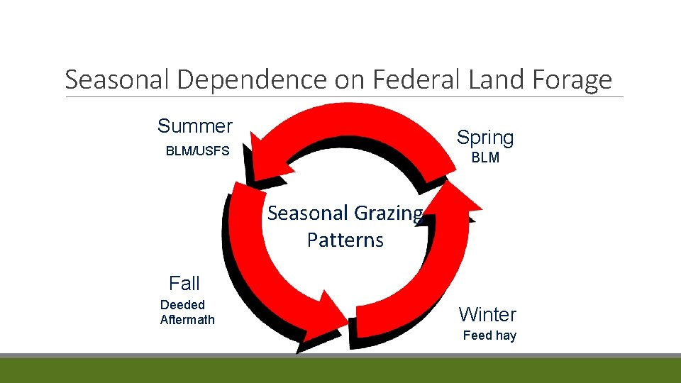 Seasonal Dependence on Federal Land Forage Summer Spring BLM/USFS BLM Seasonal Grazing Patterns Fall