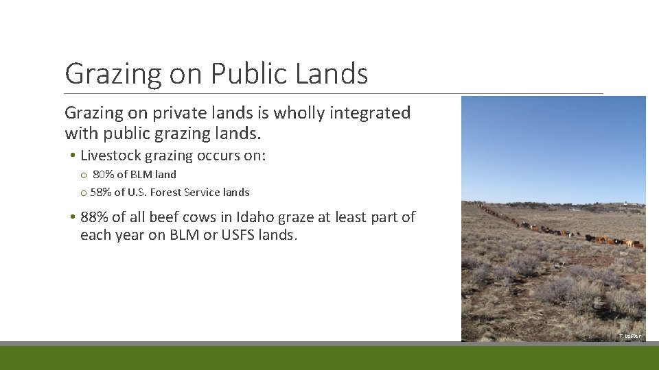 Grazing on Public Lands Grazing on private lands is wholly integrated with public grazing