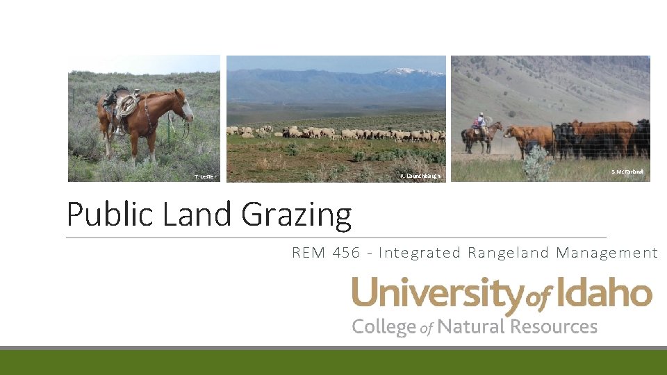 S. Mc. Farland K. Launchbaugh T. Lester S. Mc. Farland Public Land Grazing REM