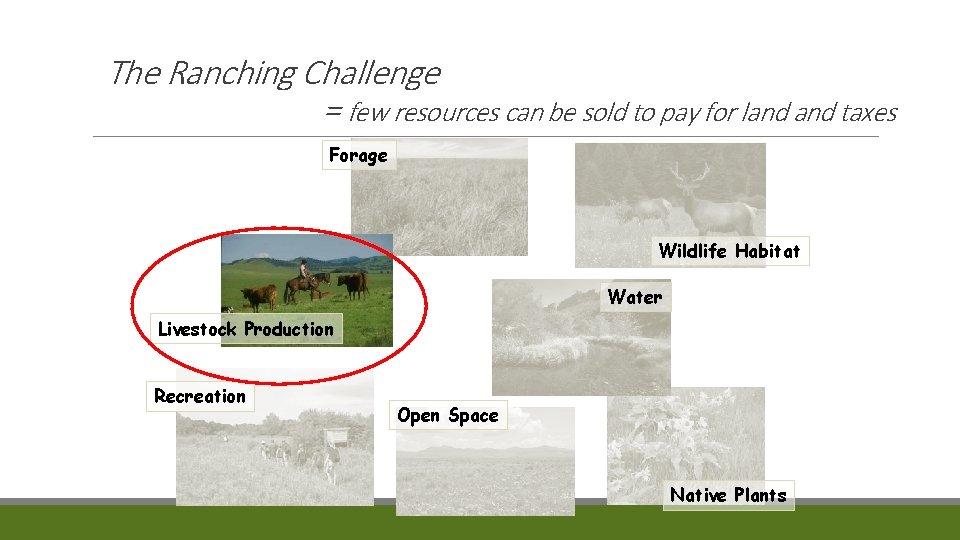 The Ranching Challenge = few resources can be sold to pay for land taxes