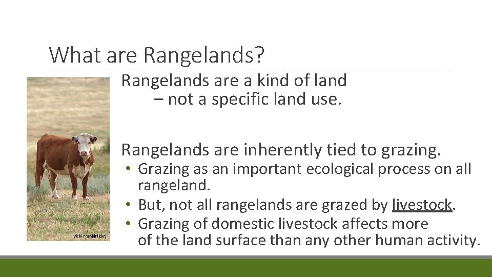 What are Rangelands? Rangelands are a kind of land – not a specific land
