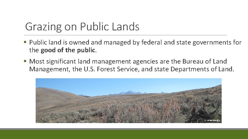 Grazing on Public Lands § Public land is owned and managed by federal and