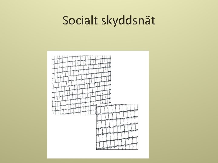 Socialt skyddsnät 