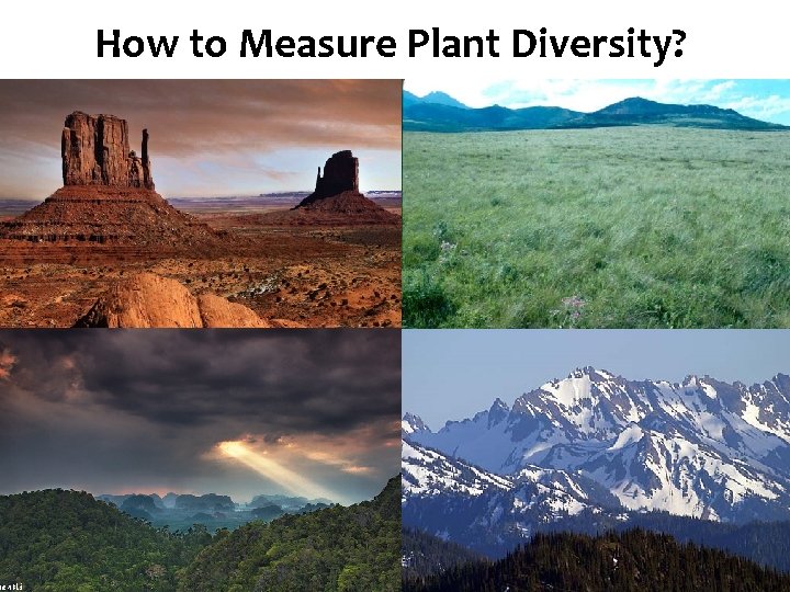 Ecosystem. Plant Diversity How to Measure Diversity? 
