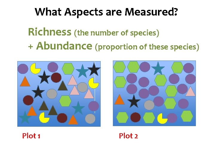 Species Diversity What Aspects are Measured? Richness (the number of species) + Abundance (proportion