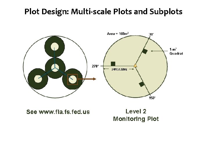 Diversity Plot Design: Species Multi-scale Plots and Subplots 