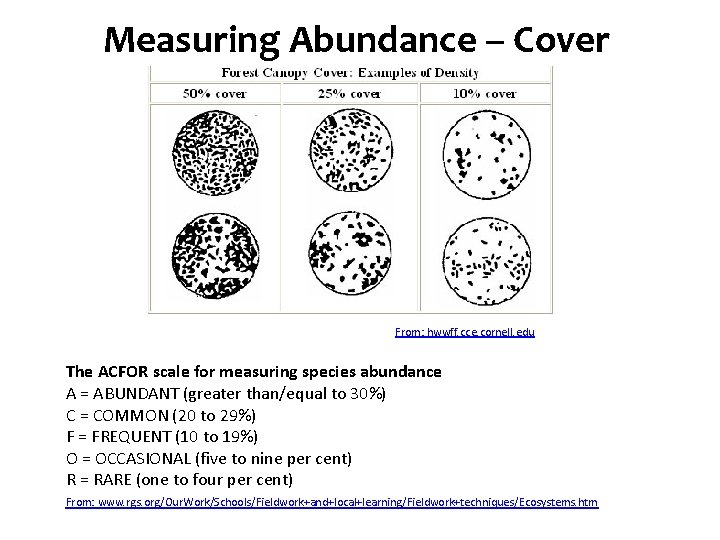 Species Diversity – Cover Measuring Abundance From: hwwff. cce. cornell. edu The ACFOR scale