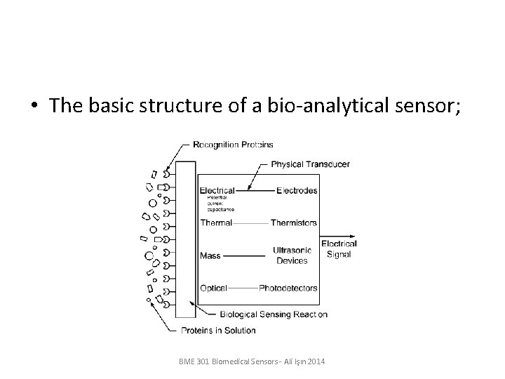  • The basic structure of a bio-analytical sensor; BME 301 Biomedical Sensors -