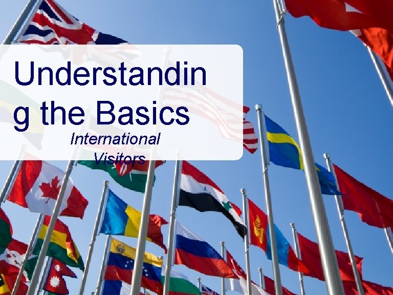 Understandin g the Basics International Visitors 