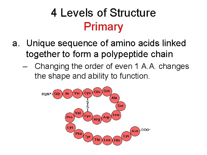 4 Levels of Structure Primary a. Unique sequence of amino acids linked together to