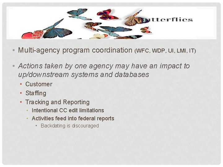 BUTTERFLY EFFECT – CHAOS THEORY • Multi-agency program coordination (WFC, WDP, UI, LMI, IT) BUTTERFLY EFFECT – CHAOS THEORY • Multi-agency program coordination (WFC, WDP, UI, LMI, IT)
