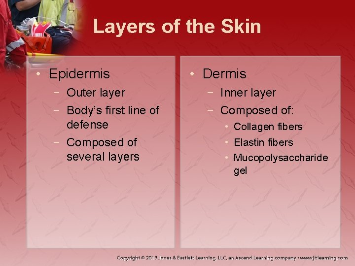 Layers of the Skin • Epidermis − Outer layer − Body’s first line of