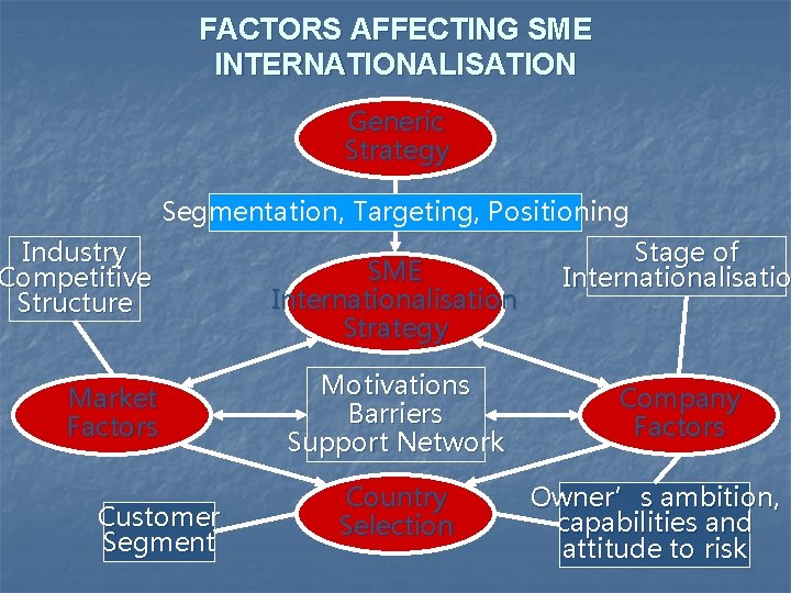 FACTORS AFFECTING SME INTERNATIONALISATION Generic Strategy Segmentation, Targeting, Positioning Industry Competitive Structure Market Factors