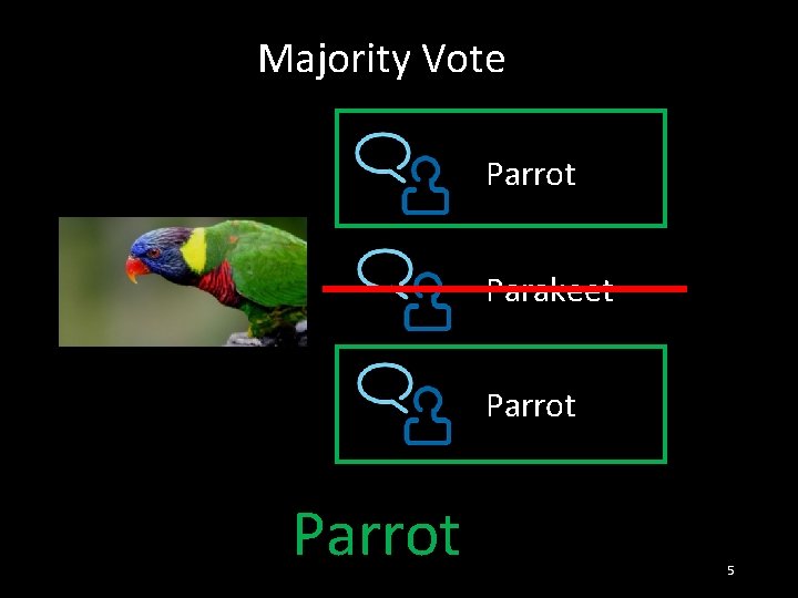 Majority Vote Parrot Parakeet Parrot 5 