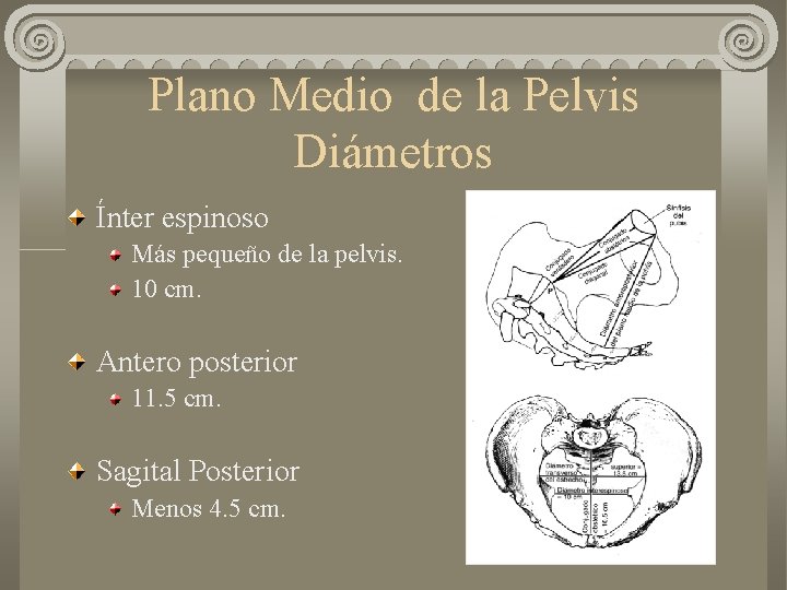 Plano Medio de la Pelvis Diámetros Ínter espinoso Más pequeño de la pelvis. 10