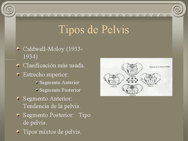 Tipos de Pelvis Caldwell-Moloy (19331934) Clasificación más usada. Estrecho superior: Segmento Anterior Segmento Posterior