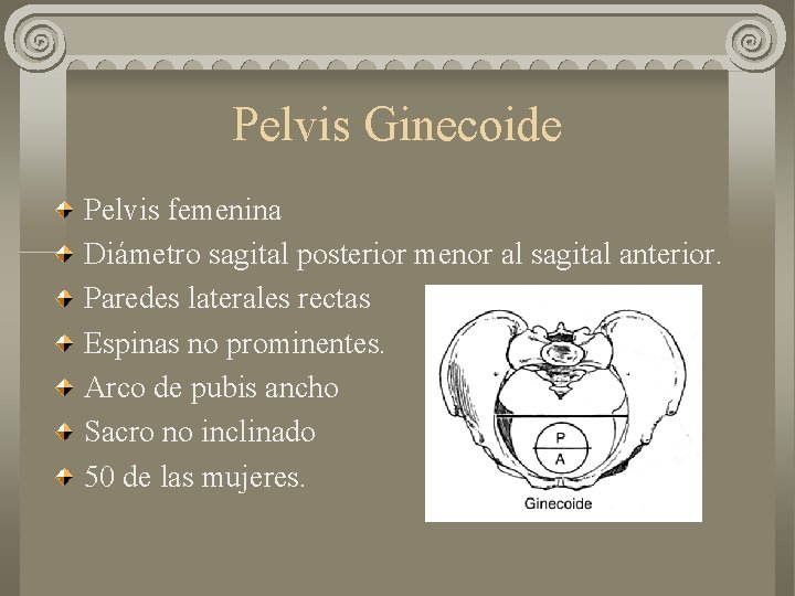 Pelvis Ginecoide Pelvis femenina Diámetro sagital posterior menor al sagital anterior. Paredes laterales rectas