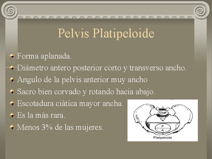 Pelvis Platipeloide Forma aplanada. Diámetro antero posterior corto y transverso ancho. Angulo de la