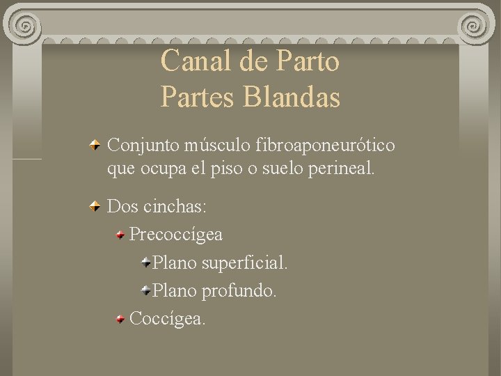 Canal de Parto Partes Blandas Conjunto músculo fibroaponeurótico que ocupa el piso o suelo