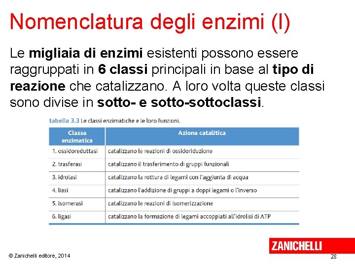 Nomenclatura degli enzimi (I) Le migliaia di enzimi esistenti possono essere raggruppati in 6