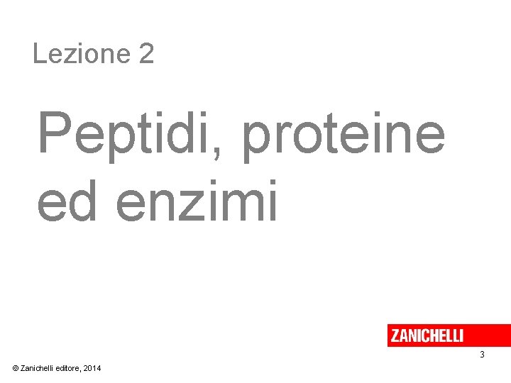Lezione 2 Peptidi, proteine ed enzimi 3 © Zanichelli editore, 2014 