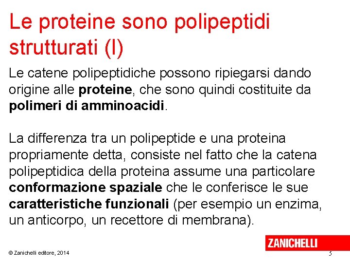 Le proteine sono polipeptidi strutturati (I) Le catene polipeptidiche possono ripiegarsi dando origine alle