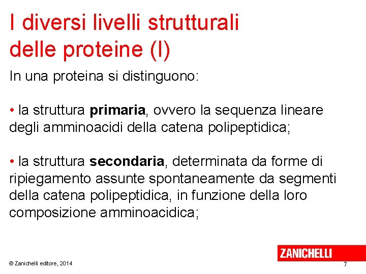I diversi livelli strutturali delle proteine (I) In una proteina si distinguono: • la