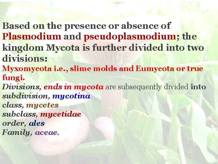 Based on the presence or absence of Plas modium and pseudoplasmodium; the kingdom Mycota