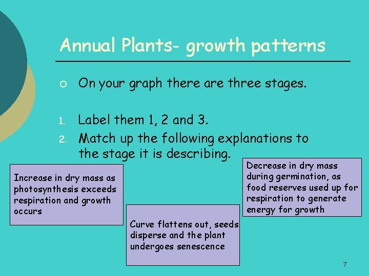 Annual Plants- growth patterns ¡ 1. 2. On your graph there are three stages.