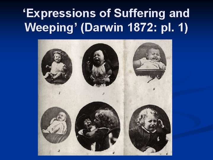 ‘Expressions of Suffering and Weeping’ (Darwin 1872: pl. 1) 