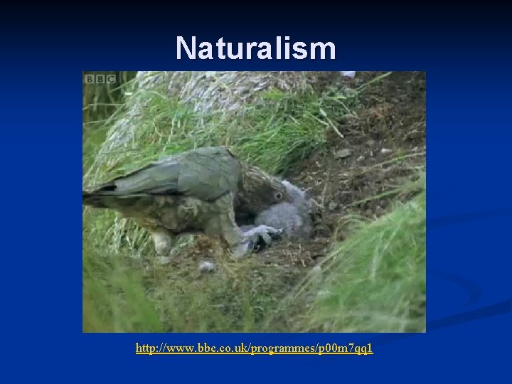 Naturalism http: //www. bbc. co. uk/programmes/p 00 m 7 qq 1 