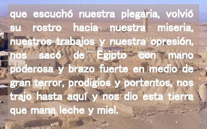 que escuchó nuestra plegaria, volvió su rostro hacia nuestra miseria, nuestros trabajos y nuestra