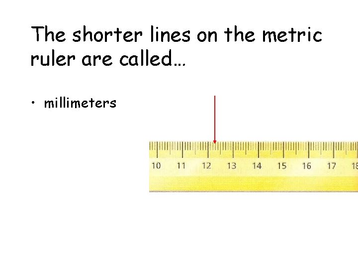 The shorter lines on the metric ruler are called… • millimeters 