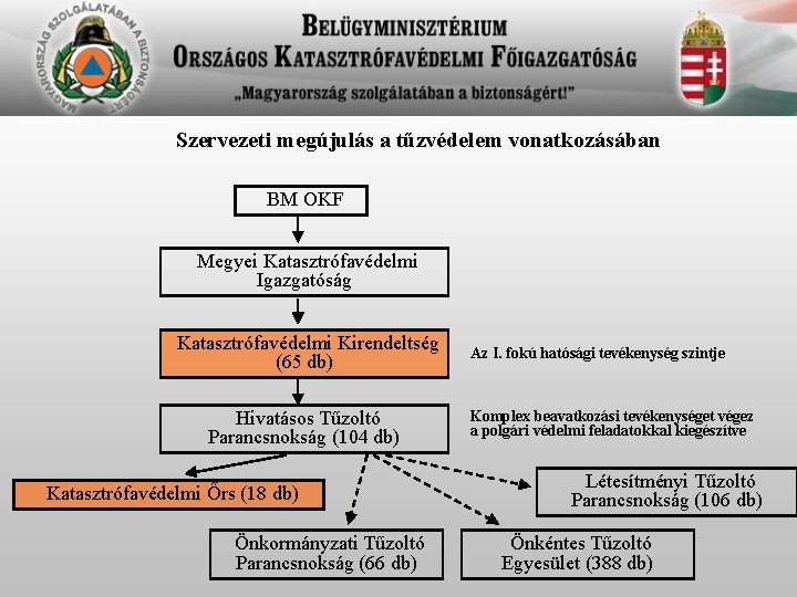 Szervezeti megújulás a tűzvédelem vonatkozásában BM OKF Megyei Katasztrófavédelmi Igazgatóság Katasztrófavédelmi Kirendeltség (65 db)