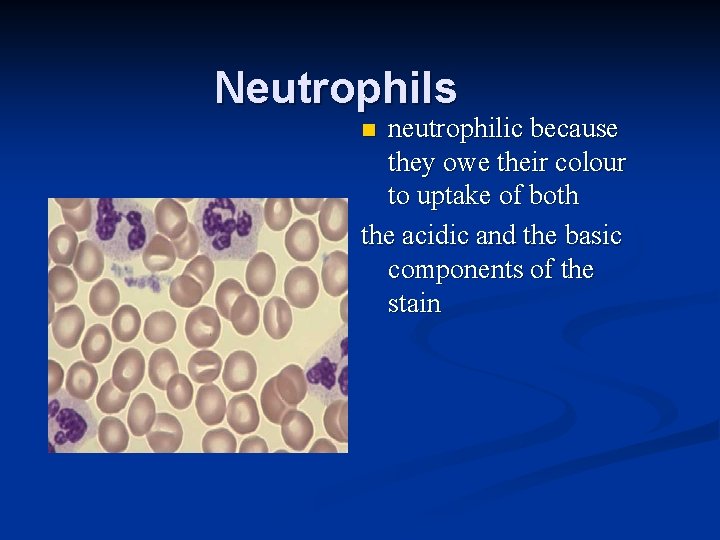 . Neutrophils neutrophilic because they owe their colour to uptake of both the acidic