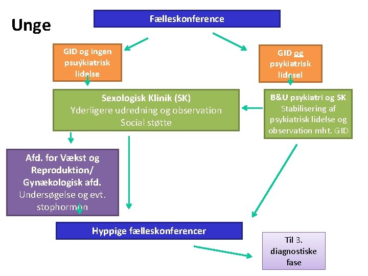 Fælleskonference Unge GID og ingen psuýkiatrisk lidelse Sexologisk Klinik (SK) Yderligere udredning og observation Fælleskonference Unge GID og ingen psuýkiatrisk lidelse Sexologisk Klinik (SK) Yderligere udredning og observation