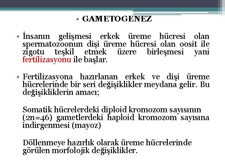  • GAMETOGENEZ • İnsanın gelişmesi erkek üreme hücresi olan spermatozoonun dişi üreme hücresi