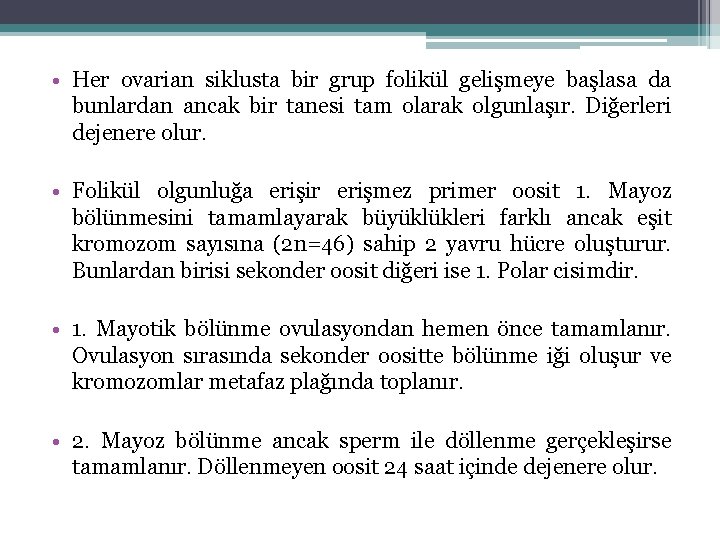  • Her ovarian siklusta bir grup folikül gelişmeye başlasa da bunlardan ancak bir