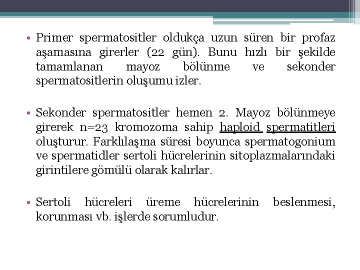  • Primer spermatositler oldukça uzun süren bir profaz aşamasına girerler (22 gün). Bunu