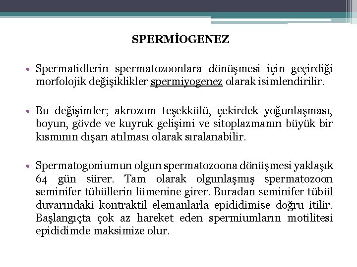 SPERMİOGENEZ • Spermatidlerin spermatozoonlara dönüşmesi için geçirdiği morfolojik değişiklikler spermiyogenez olarak isimlendirilir. • Bu